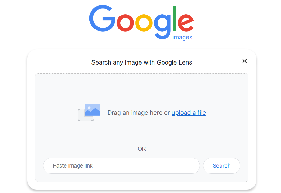 Google search by image 